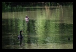 Kent - Leeds Castle -05-06-2014 - Bogdan Balaban